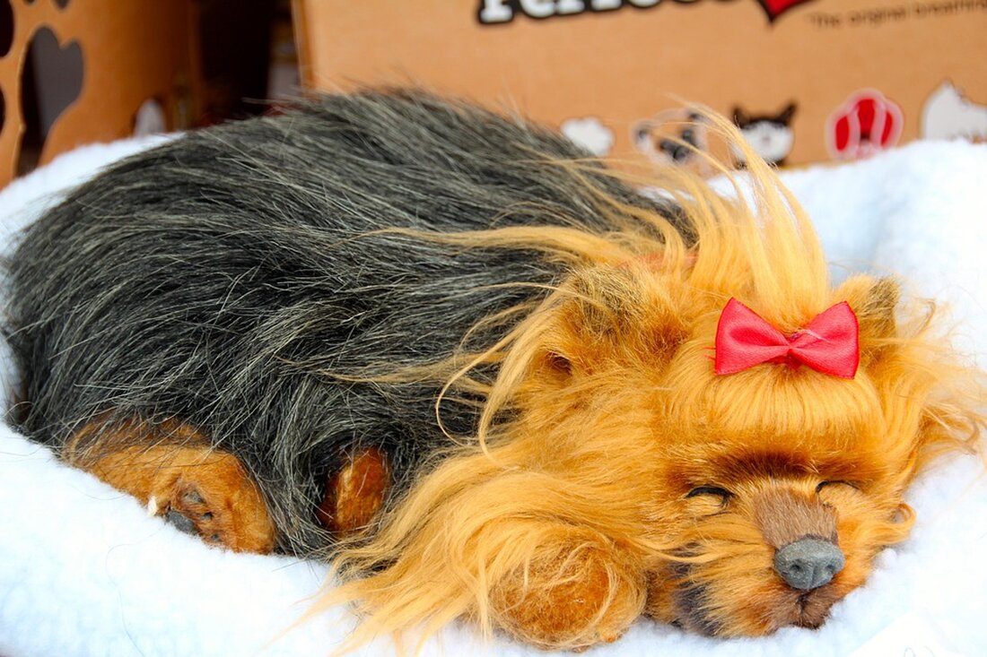 Cardano: Prognose und Akkumulationszone für Anleger Cardano, eine der vielversprechendsten Kryptowährungen, hat in der Finanzwelt viel Aufmerksamkeit erregt. Aktuelle Analysen deuten darauf hin, dass der Preis von Cardano in einem optimistischen Szenario um 1.000% auf 7 Dollar steigen könnte, falls sich die historischen Trendlinienmuster erneut wiederholen. Solche Prognosen sind jedoch mit Unsicherheiten verbunden und sollten mit Vorsicht betrachtet werden. Derzeit betrachten Analysten die Preisspanne von 0,45 bis 0,65 Dollar als eine günstige Akkumulationszone für Anleger. In diesem Bereich könnten Investoren potenziell von einem Anstieg profitieren, sollten sich die Marktbedingungen entsprechend entwickeln. Die Entwicklung der Kursmuster und die Identifikation von strategischen &hellip;