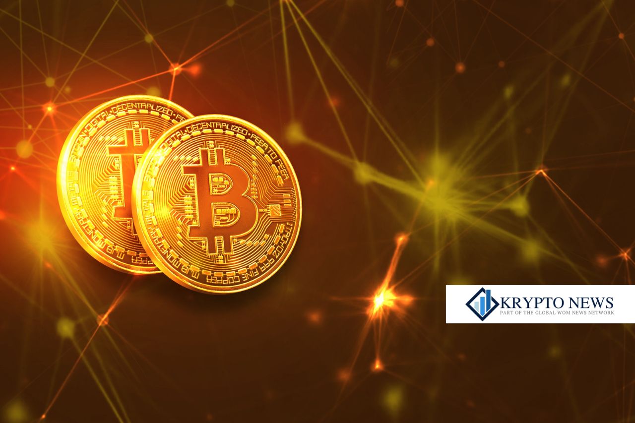 Ark Invest setzt auf Coinbase & Co. – Umsatzrückgang auf Rekordtief!