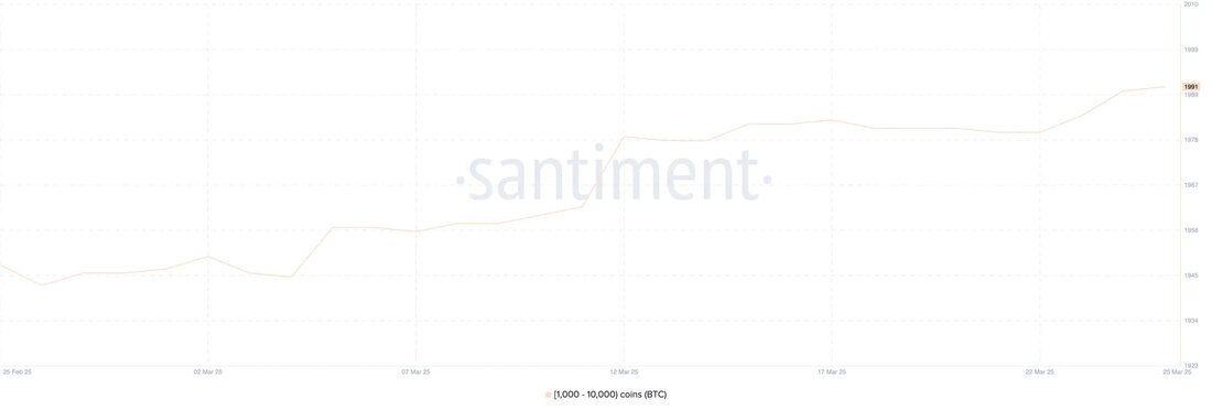 Bitcoin: Bullisches Signal durch Wale und technische Indikatoren Bitcoin, die bekannteste Kryptowährung, hat in letzter Zeit einen Anstieg erfahren, der das Vertrauen der sogenannten "Wale" – große Bitcoin-Halter – zurückgewinnt. Diese Wale beginnen erneut, BTC zu akkumulieren, was als bullisches Signal für den Markt interpretiert wird. Technische Indikatoren wie die Ichimoku-Wolke und die exponentiellen gleitenden Durchschnitte (EMA) unterstützen die positive Stimmung. Bitcoin-Walbestände auf höchstem Stand seit 15. Dezember Die Anzahl der Bitcoin-Wallets, die zwischen 1.000 und 10.000 BTC halten, ist von 1.980 am 22. März auf 1.991 am 25. März gestiegen. Dies stellt den höchsten Stand seit dem 15. Dezember …