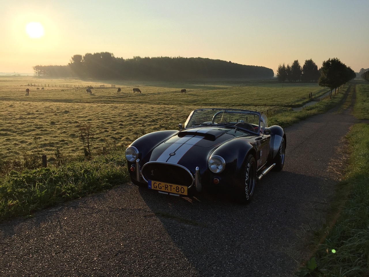 Marktentwicklung im DAX